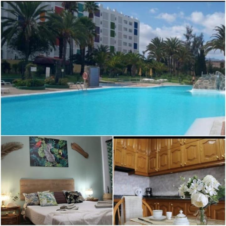 Apartment Agaete Park Tropical Style Playa del Ingles (Gran Canaria)
